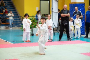 Karate competition at the Aetna Cup