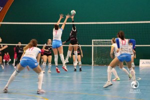 MedTrade Volley Palermo, Evola in azione